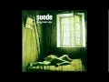 Suede - This Hollywood Life Only