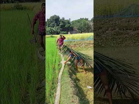 আপনারাই বলুন ওকে কি করতাম 😜😜