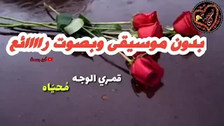 قمري الوجه بدون موسيقى محمد كندو حالات واتس اب عن الرسول ﷺ 