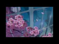 Download Lagu tchaikovsky - swan lake [slowed + reverb]