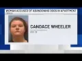 Woman accused of abandoning dogs in apartment