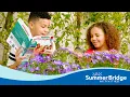 Get Ready for Summer Fun With Summer Bridge Activities