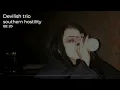 Devilish Trio - Southern Hostility