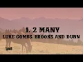 Download Lagu Luke Combs, Brooks \u0026 Dunn - 1, 2 Many (Lyrics)