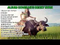 Download Lagu Album Cover Hits Dangdut Decky Ryan Bukan tak mampu, Pantang bicara dua kali, View Parung,Ciseeng