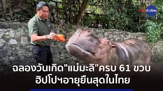 ฉลองวันเกิด 61 ปี “แม่มะลิ” ฮิปโปฯ อายุยืนสุดในไทย