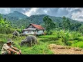 Download Lagu SUNGGUH INDAH! Pemandangan Alamnya. Kampung Yang Damai, Orang Sunda Ini Hidup Di Sawah Lereng Gunung