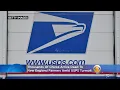Thousands Of Chicks Arrive Dead To New England Farmers Amid USPS Turmoil