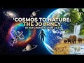 4K Planet Earth Spinning in Space Free s - No Copyright