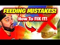 5 Feeding MISTAKES Ball Python Owners Make and How To FIX Them