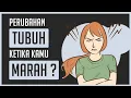Download Lagu Apa yang Terjadi Pada Tubuh Ketika Marah ?