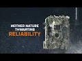 Get ahead of the game with the CelluCORE Live Wireless Trail Camera