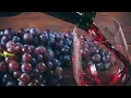 Visualization of Wine Quality Dataset using D3 js and Flask