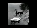 LUXURY X LA BELLA VITA (Official Audio)