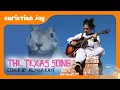 Download Lagu The TEXAS SONG!!! (SpongeBob In Real-Life Clip)