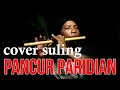 Cover Suling - Dirga Rangkuti - Pancur Paridian