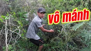 Chổ này toàn cá lóc khủng , thăm lờ cá không ngờ vô con này | phúc hoang dã tv
