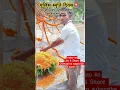 Download Lagu Police smruti diwas par shahido ko koti koti naman#पुलिस स्मृति दिवस पर शहीदों को कोटि कोटि नमन