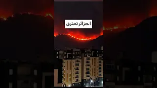 حرائق الجزائر مشاهد صادمة من قلب الجحيم