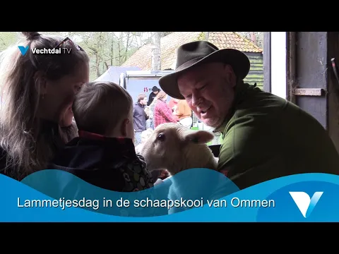 Lammetjesdag in de Schaapskooi in Ommen