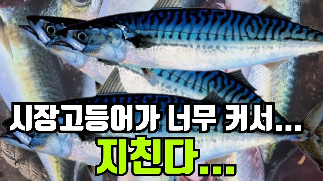 関連動画 サムネイル