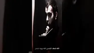 محمود قيم شيخ الأكبر اكثر من رائع 