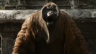 ספר הג ונגל 2016 מוגלי נגד המלך לואי 