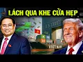 Download Lagu Thoát Đòn Thuế Mỹ, Việt Nam Bất Ngờ Làm Điều Chấn Động Thế Giới!
