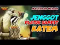 CUCAK JENGGOT - PLATUK SAMPIT - KAPAS TEMBAK | KOMBINASI MASTERAN MEWAH