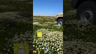 ربي أوزعني أشكر نعمتك وافوز برضاك 