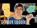 Do you see a bump 11 Week Pregnancy Update JAKS Journey CC