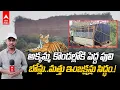 Lagu Tiger fear at Divan Cheruvu | రాజమండ్రి పరిసర కొండ ప్రాంతాల్లోకి వెళ్లిన పెద్దపులి | ABP Desam