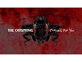 Download Lagu The Offspring - Coming For You (Photos)