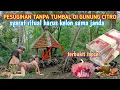 Download Lagu HEBOH !! PESUGIHAN TANPA TUMBAL DI GUNUNG CITRO || syarat ritual harus kelon sama janda agar topcer