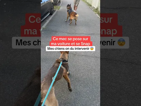 C’était un bon duo Adès et Nino 🥺