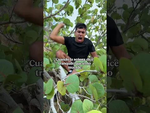 Quédate tranquilo que él no muerde 🥴