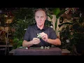 HOW TO Make an EASY Boutonniere with Artificial Flowers from Silk Scapes