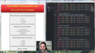How to program HTML Web Forms Radio buttons with Javascript and CSS