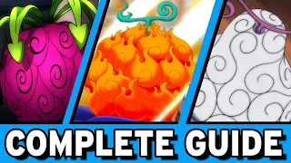 The Complete Guide to DEVIL FRUITS Grand Line Review
