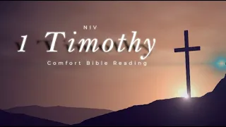 Download The First Book of Timothy - NIV Audio Holy Bible MP3
