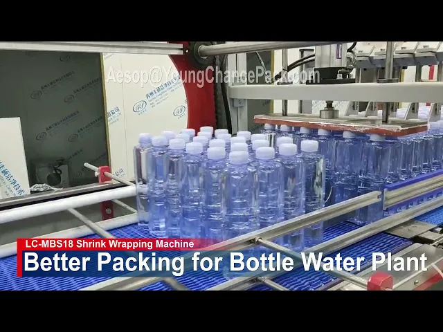 Plastic Film Shrink Wrapping Machine / Shrink Wrapper