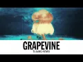 Tiësto - Grapevine (Tujamo Remix)