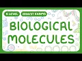 A-Level Biology - Biological Molecules