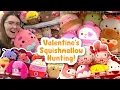 Valentine s Squishmallow Hunting Haul