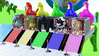 Every Kick Spawns a Beast! 🦍🐺🐯🐘🐊 | Who Will Pick the Right Key? 🔑| Long slide Game | Animal Crossing