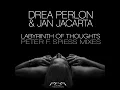 Labyrinth of Thoughts (Peter F. Spiess Winter Mood Remix)