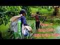 Download Lagu Dính lươn bự KuTin la làng. Không ngờ túi xẹp mà dính 1 bầy lươn | Săn bắt SÓC TRĂNG |