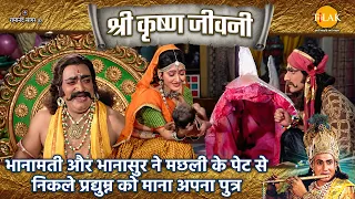 भानामती और भानासुर ने मछली के पेट से निकले प्रद्युम्न को माना अपना पुत्र | Shri Krishna Jeevani