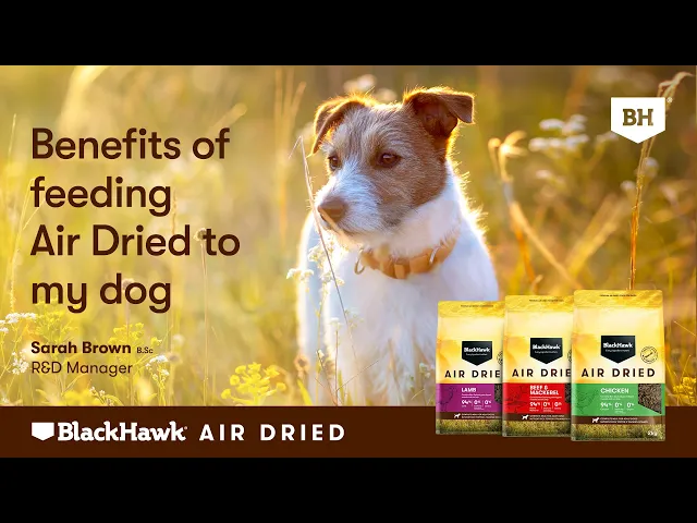 Black Hawk Air Dried Lamb Adult Dog Food