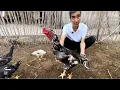 Download Lagu TÒRAQÒRGONLIK ESKI PARVOZ GULOM AKANI DAKAN BOQISH SIRLARI PARVOZLAR UCHUN MAXSUS